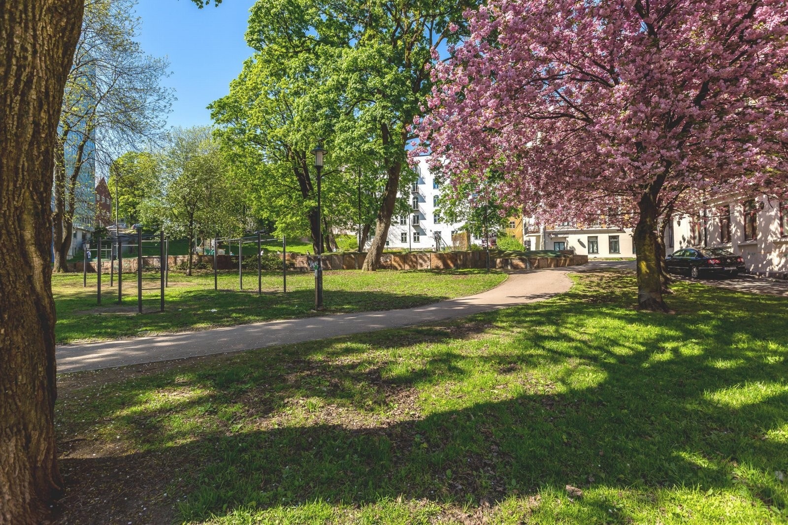 Flotte parker i området Galleribilde