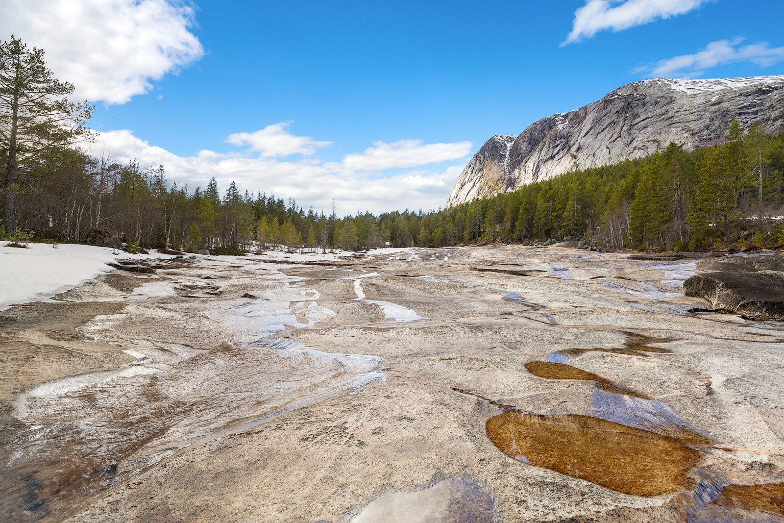 Nærområdet Galleribilde