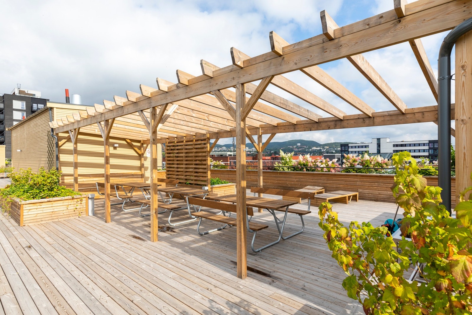 Borettslaget har fire felles takterrasser. Galleribilde