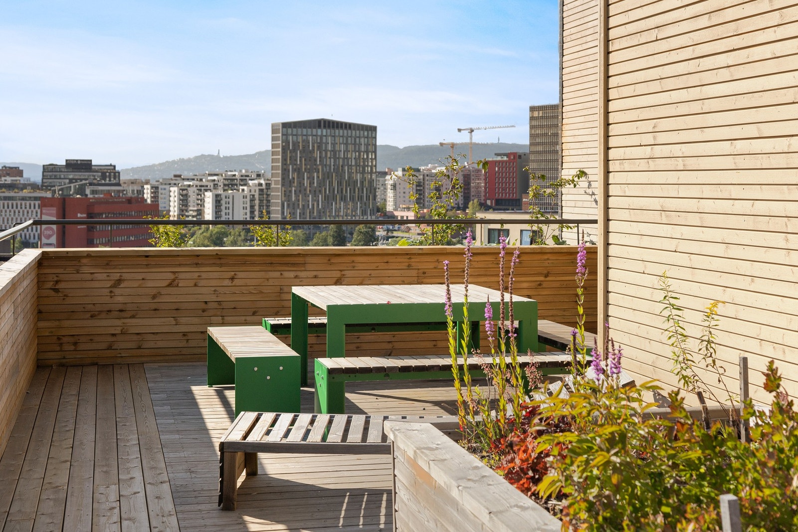 Takterrasse. Galleribilde