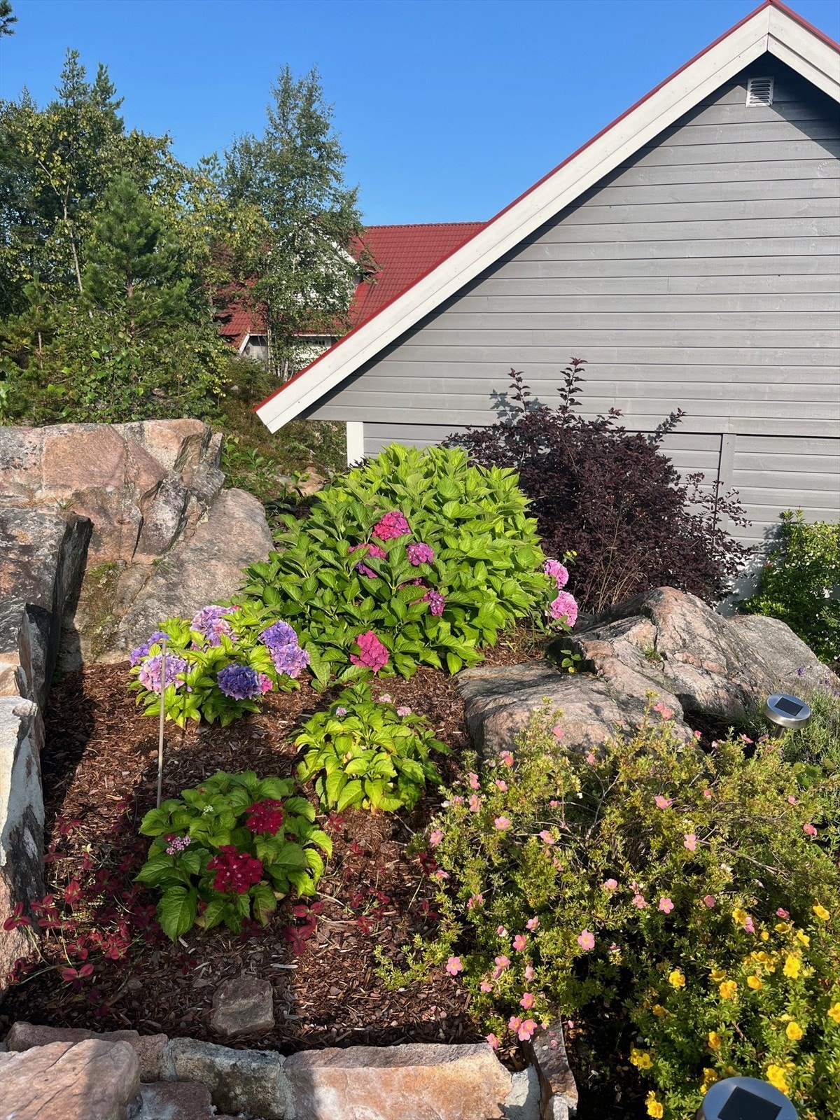 Selgers sommerbilde Galleribilde