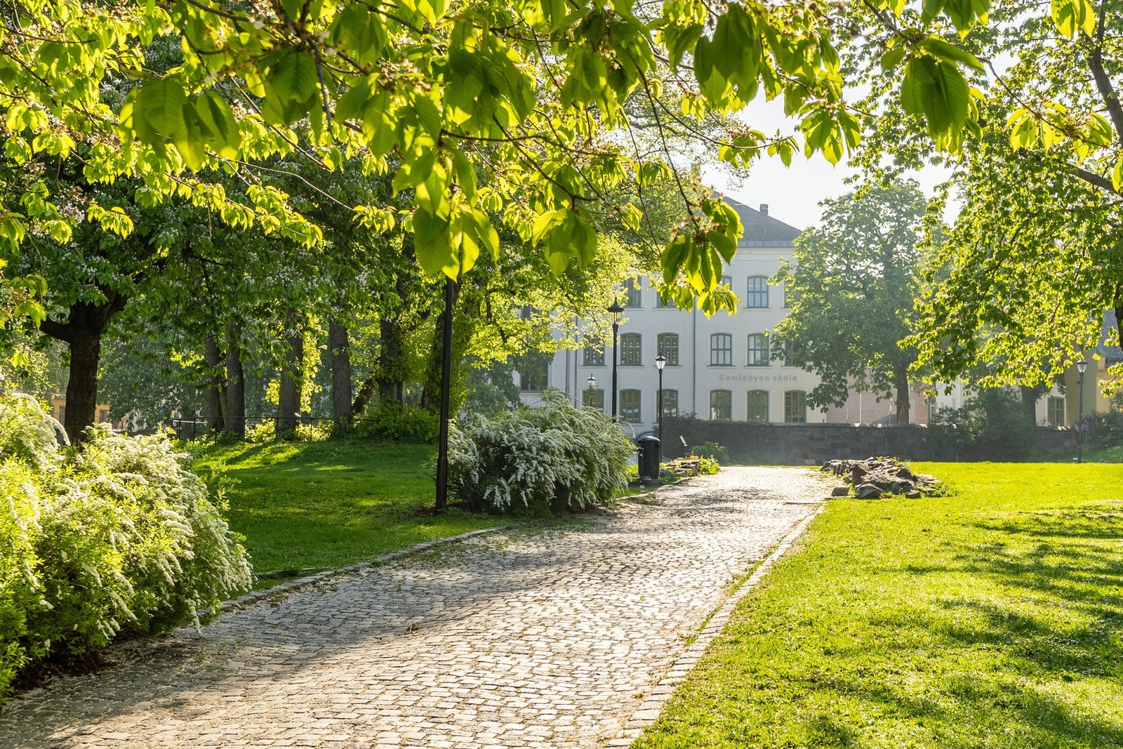 Flere flotte parkområder like ved som blant annet Minneparken. Galleribilde