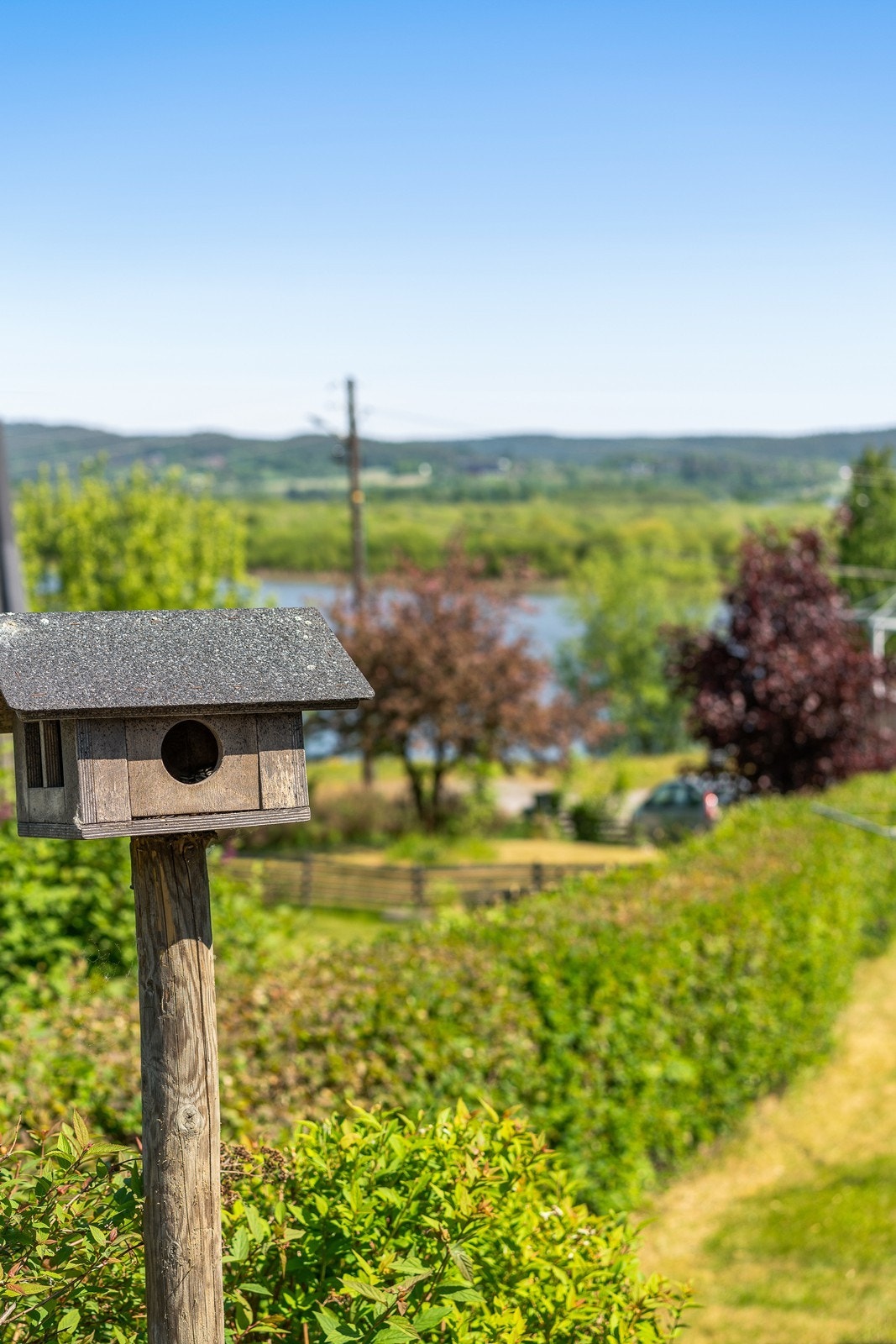 Detaljbilde - uteområde. Galleribilde