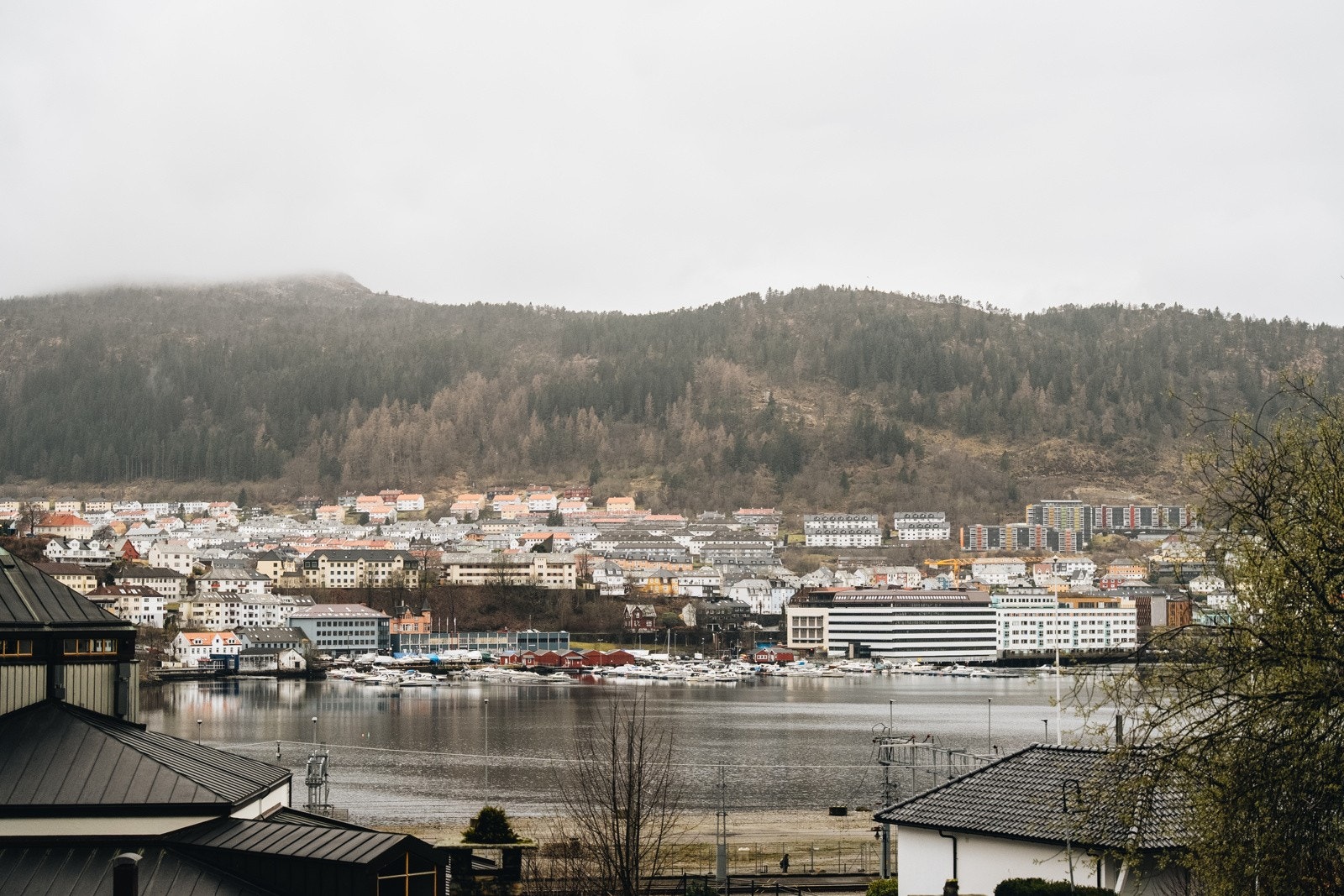 Velkommen! Galleribilde