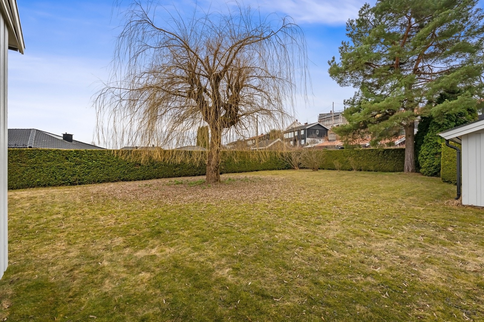 Hagen er stor og usjenert, med velstelt gressplen, trær, og vakre vekster og som skaper en naturlig og lun ramme Galleribilde