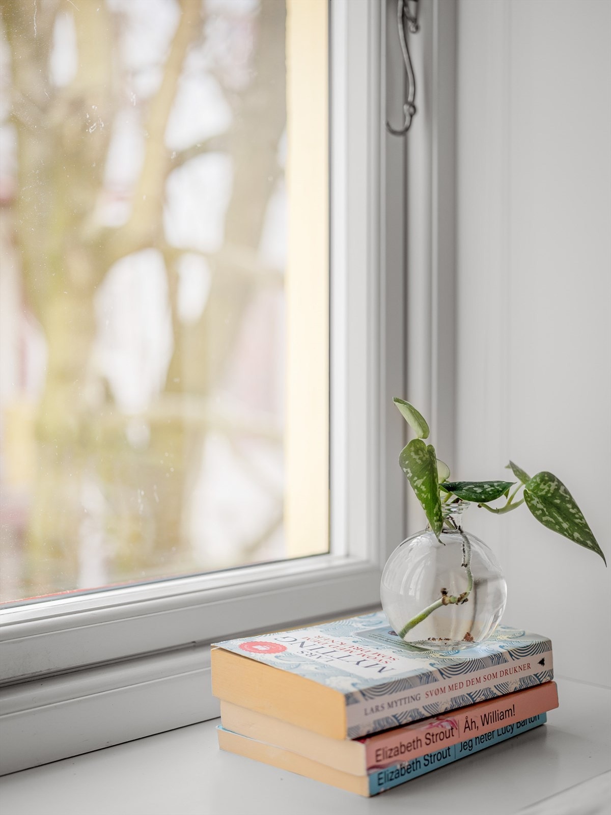 I de brede vinduskarmene trives plantene godt. Galleribilde