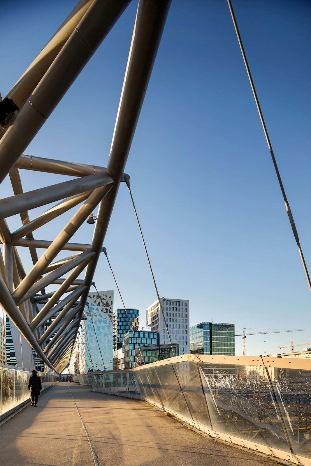 - Nærområdet - Galleribilde