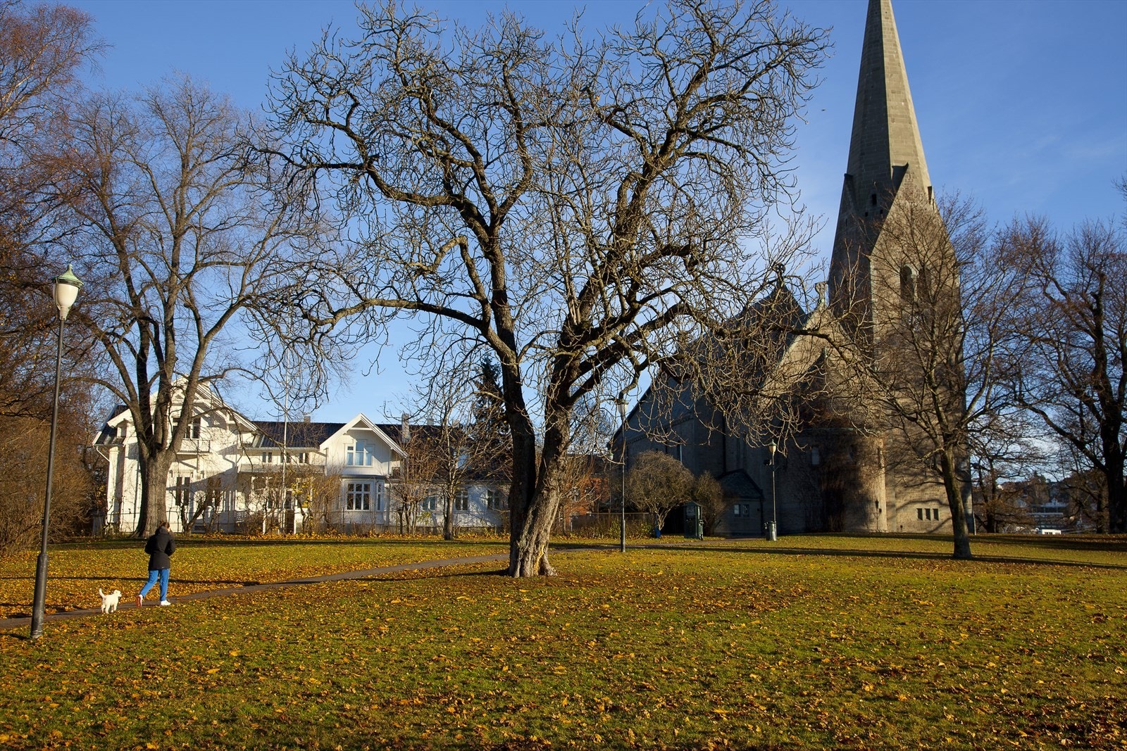 Fra leiligheten er det nærhet til en rekke flotte parker og hyggelige turområder. Galleribilde