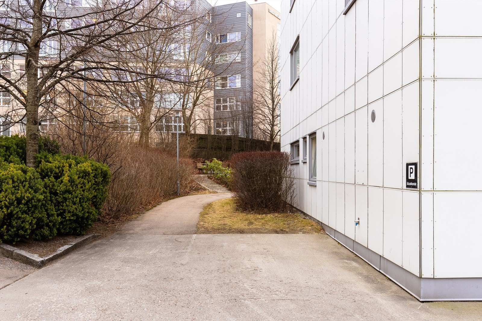 Fellesareal. Galleribilde