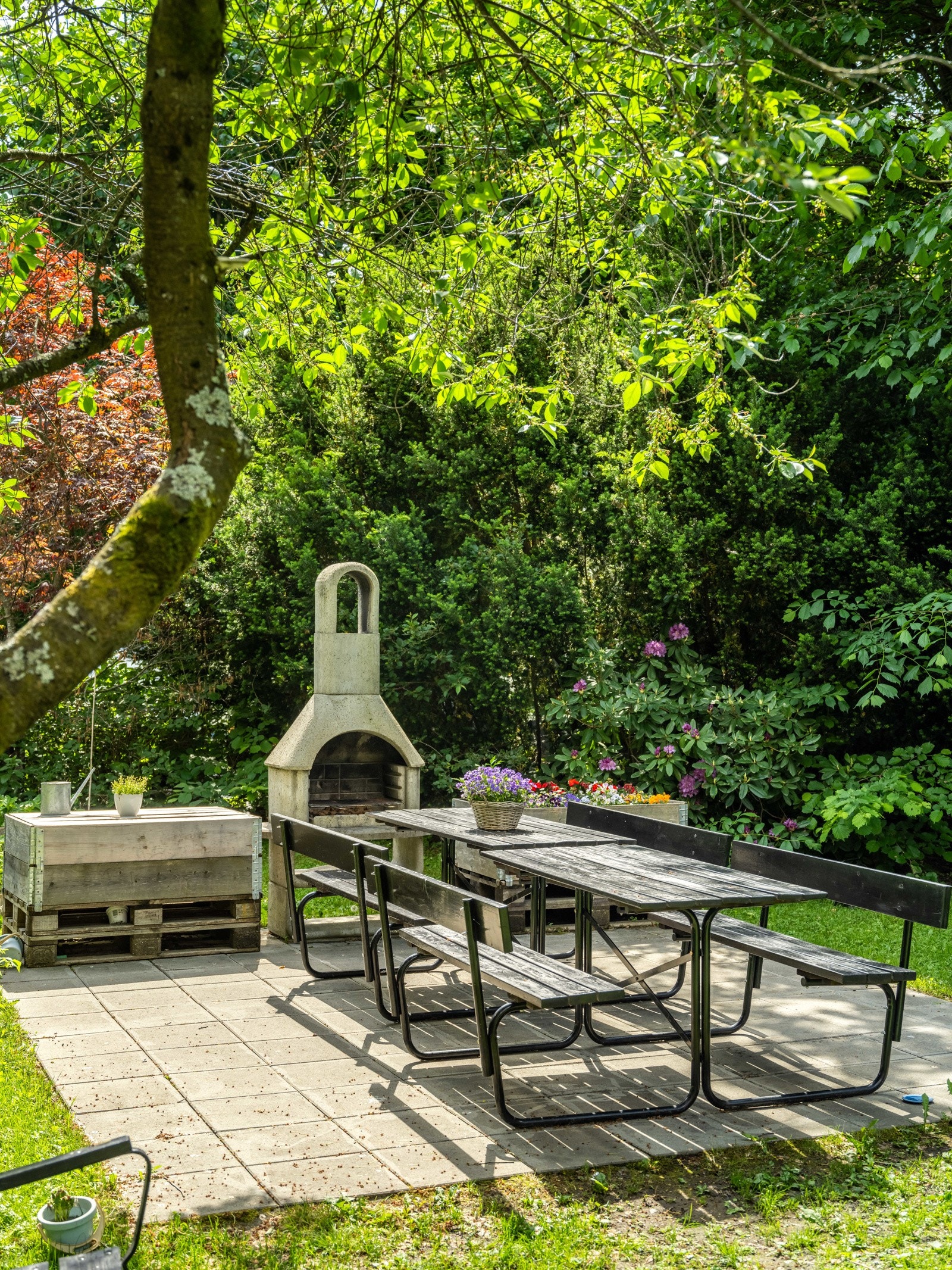 Sånn ser den ut når man er på bakken. Og når det er sommer og sol. Galleribilde