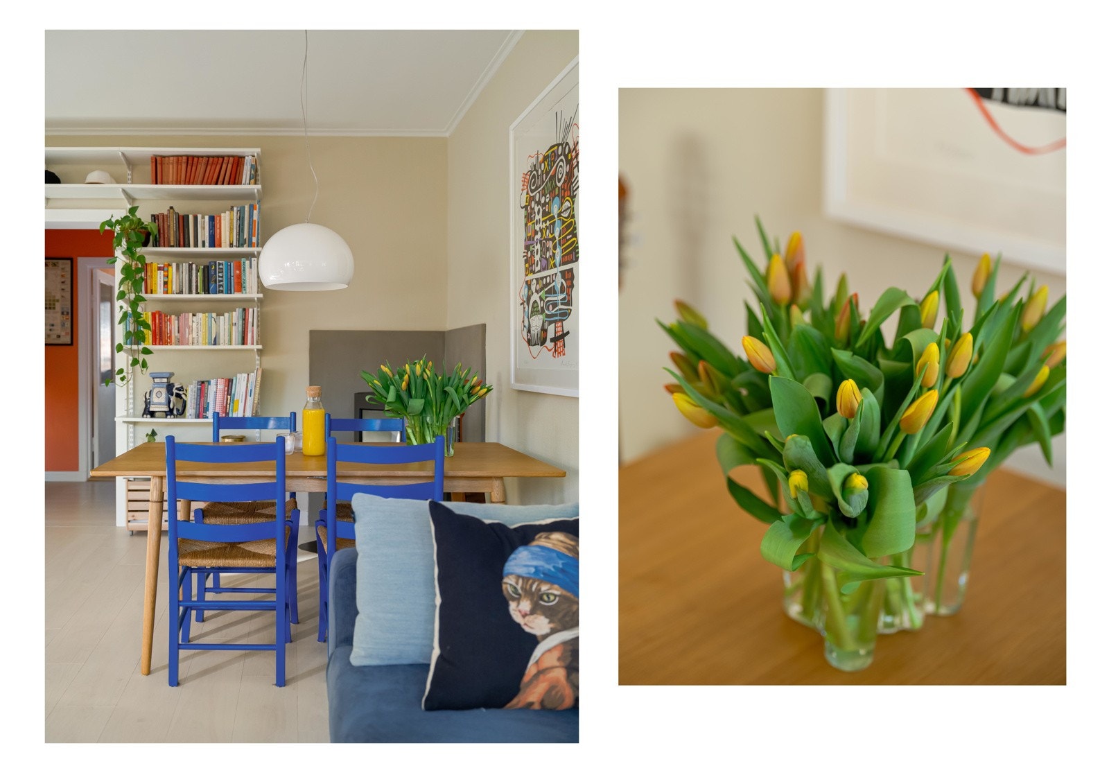 NB: Katten på puten er ikke en ekte katt! De går vanligvis ikke med hårbånd. Galleribilde