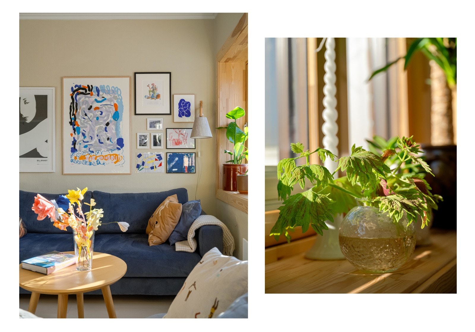 Sees vi? Galleribilde