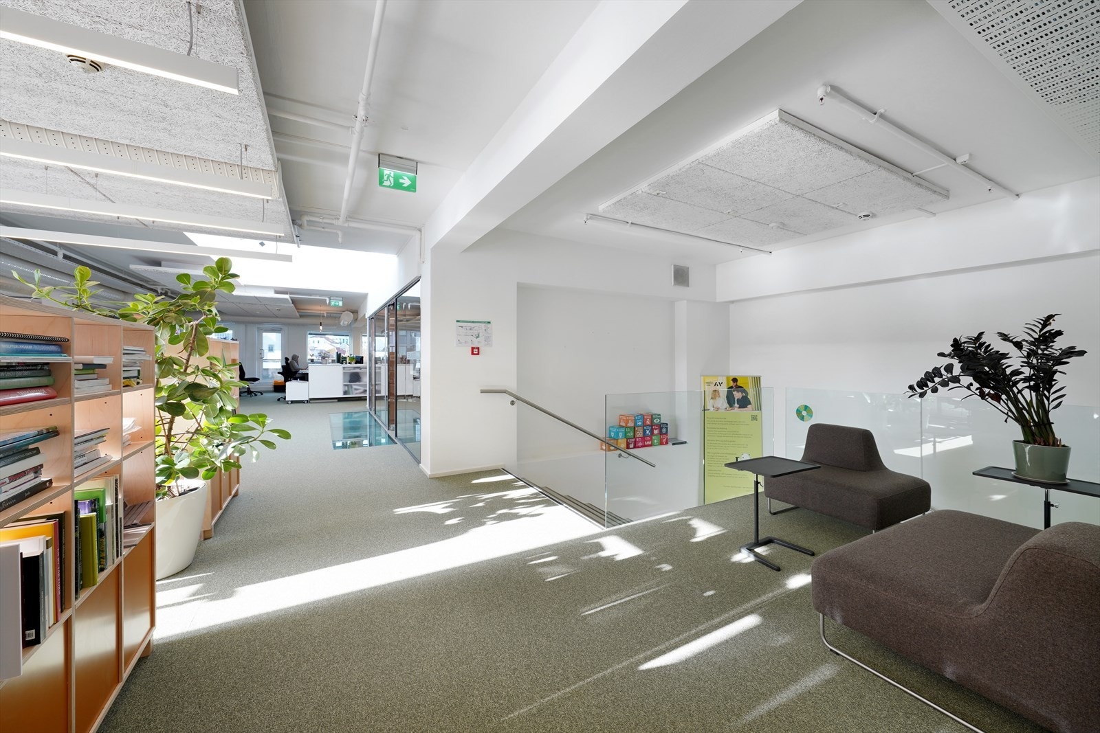 Lys og innbydende kontorplass med moderne fasiliteter og grønne innslag. Galleribilde