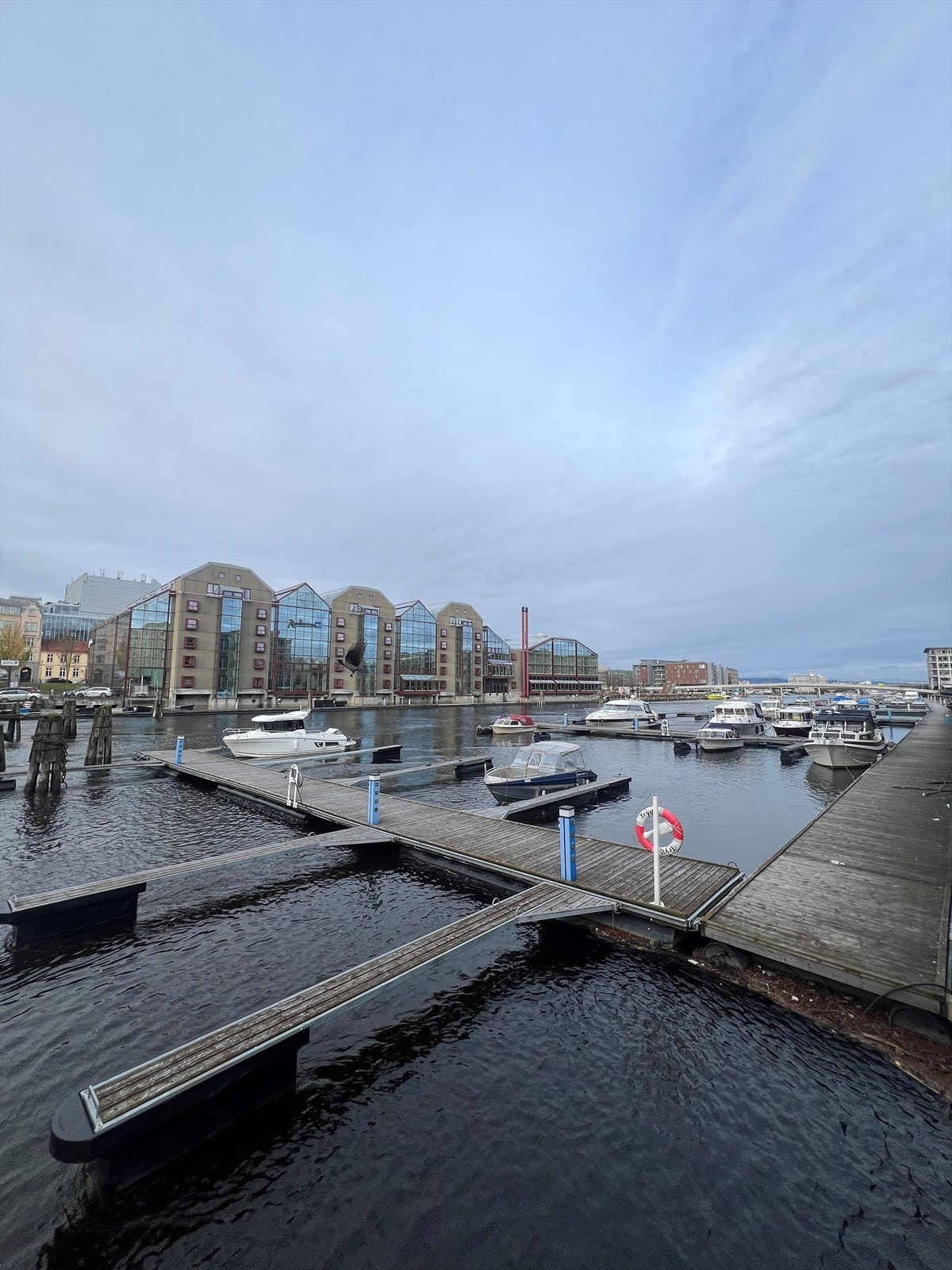 Fra eiendommen kan en gå langs elven mot Solsiden eller Bakklandet. Galleribilde