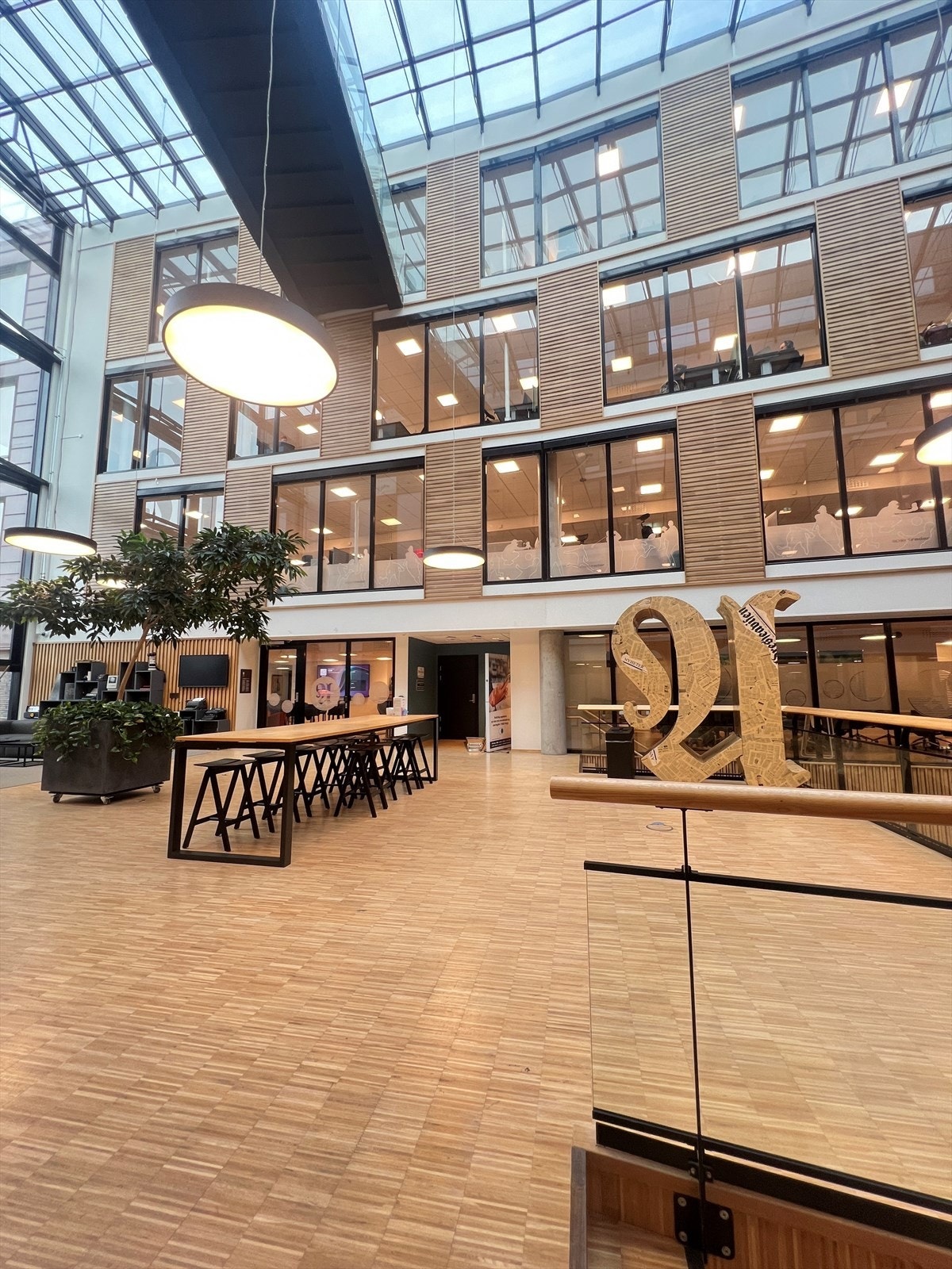 Fellesareal17.jpg Galleribilde