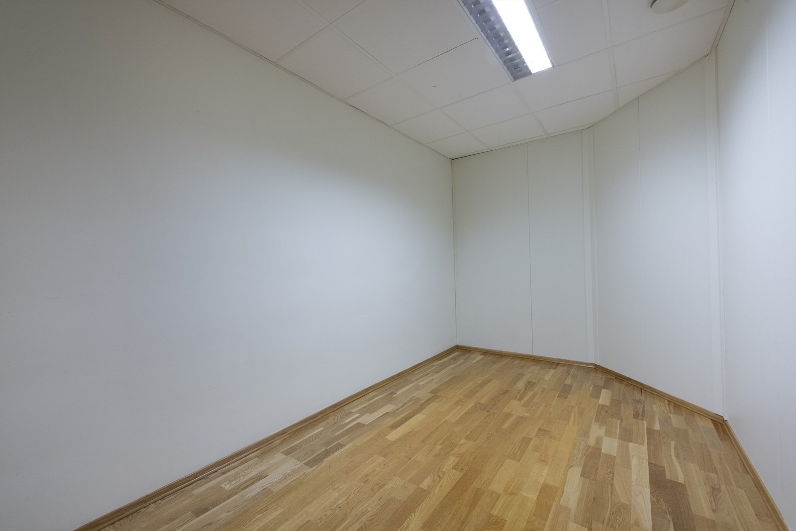 _ROY1056.jpg Galleribilde