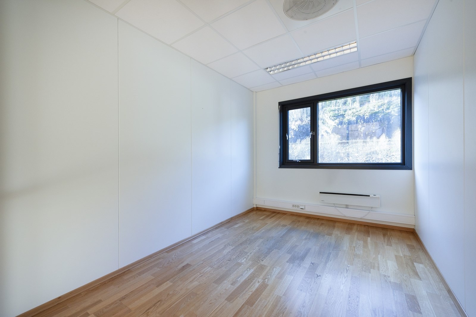 _ROY1065.jpg Galleribilde