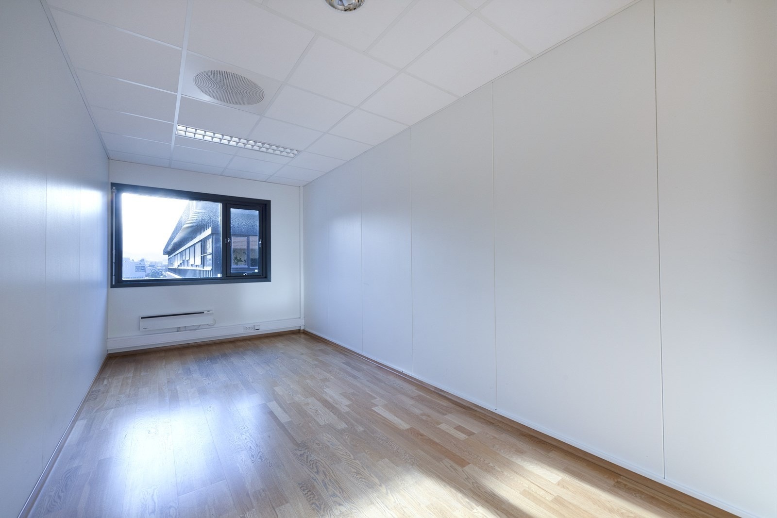 _ROY1062.jpg Galleribilde