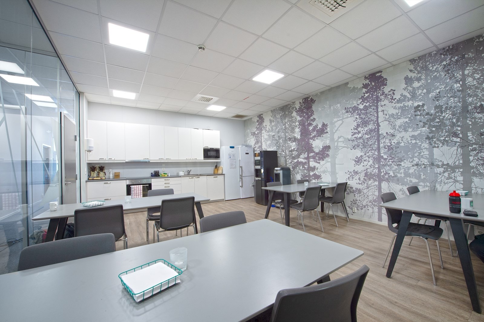 _ROY9773.jpg Galleribilde