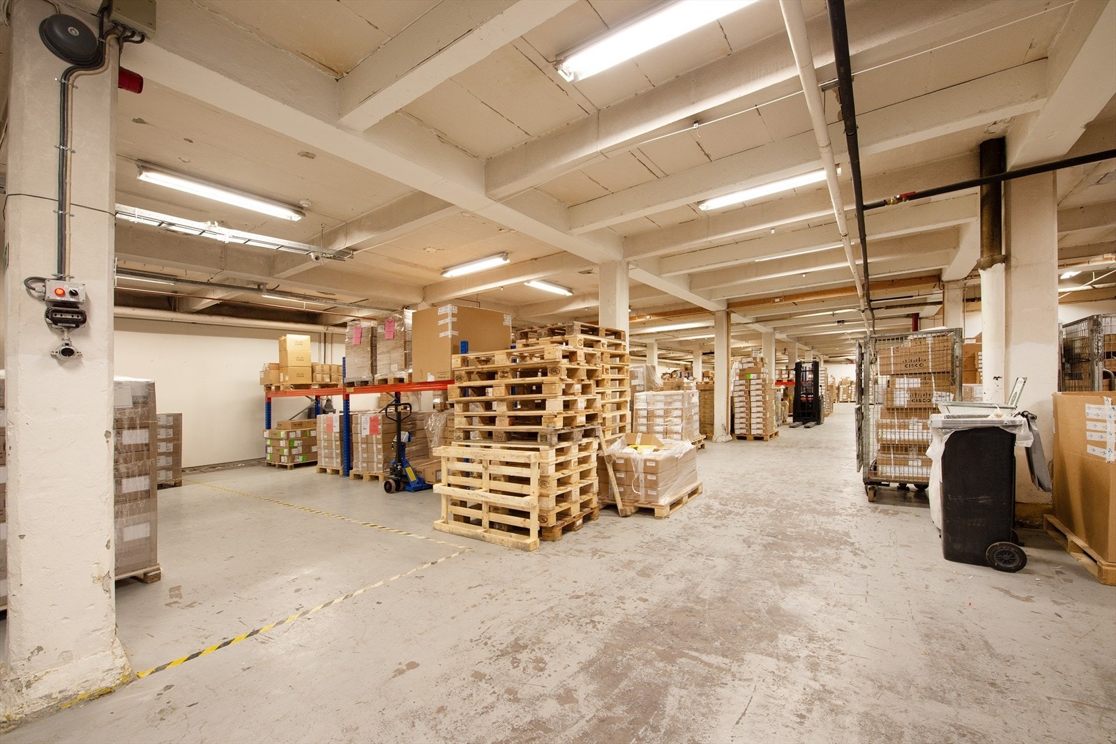 _ROY9876.jpg Galleribilde