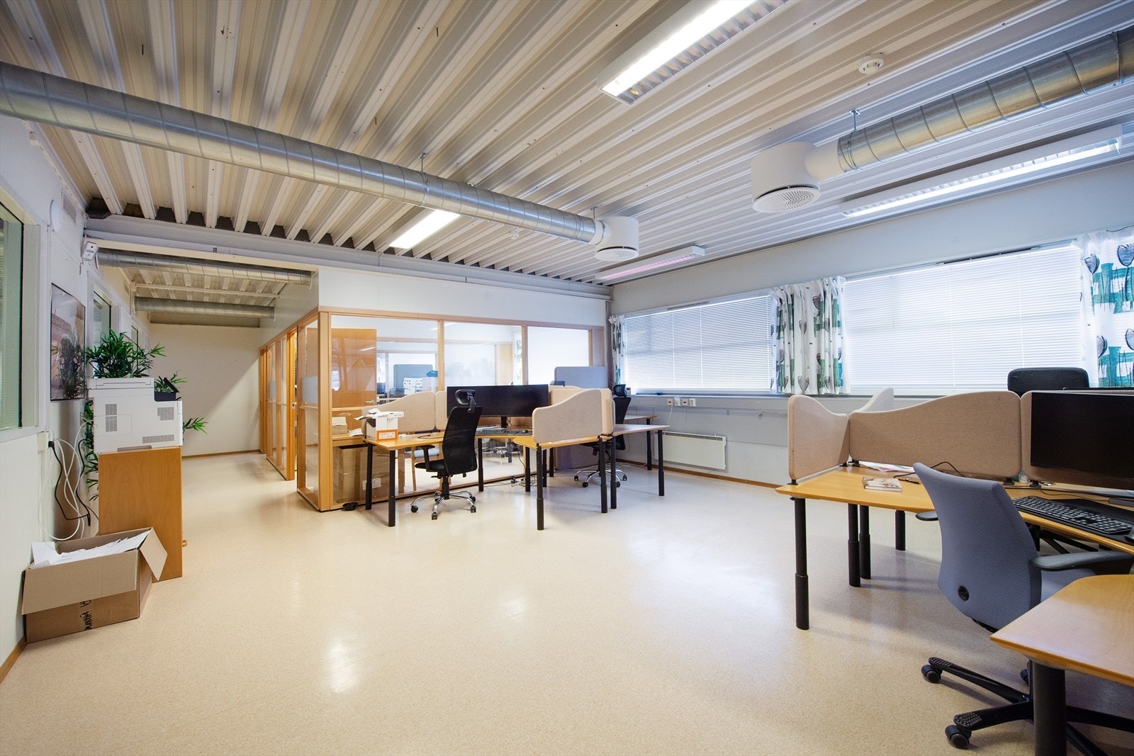 _ROY9800.jpg Galleribilde