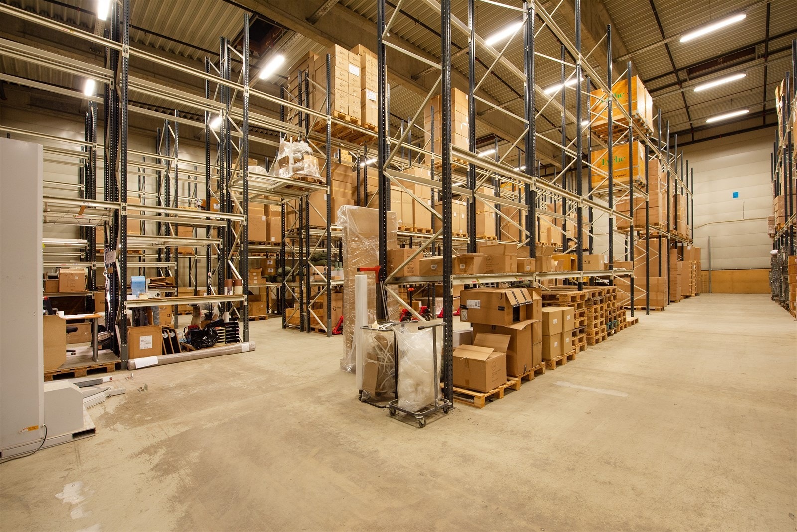 _ROY9867.jpg Galleribilde