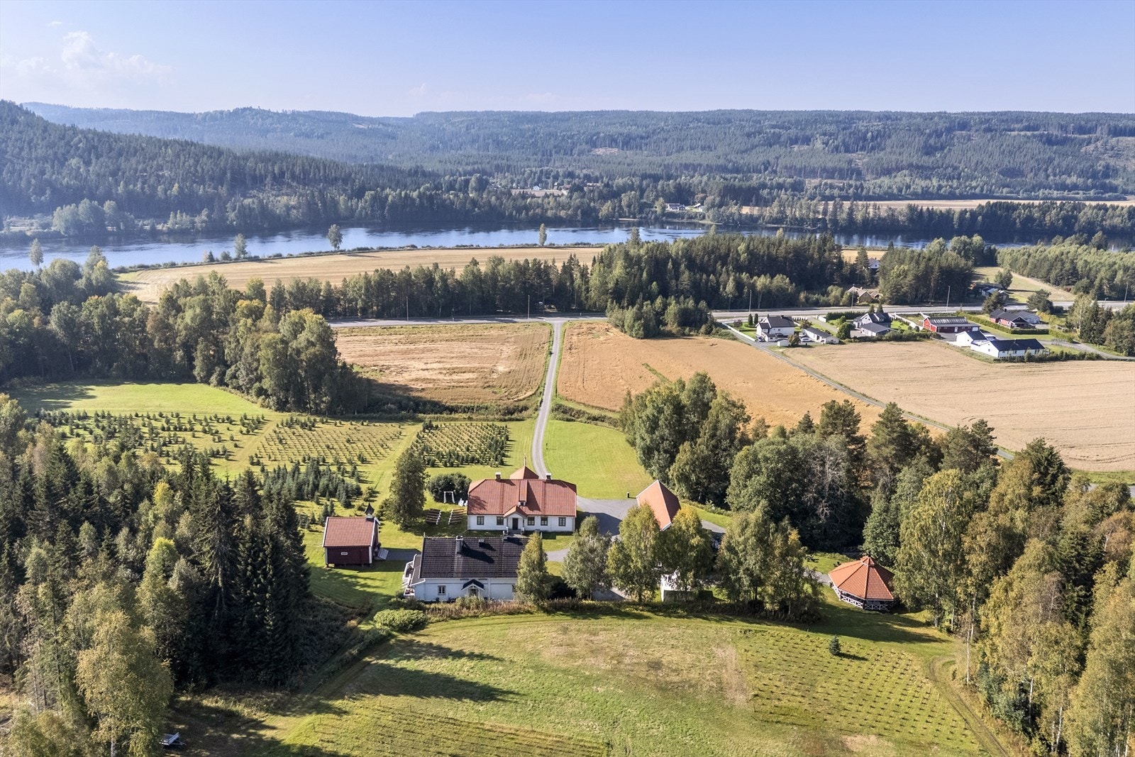 Tradisjonelt mønsterbruk Galleribilde