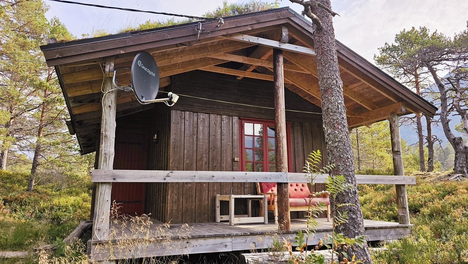 Hovhyttegrend hytte 24 Galleribilde