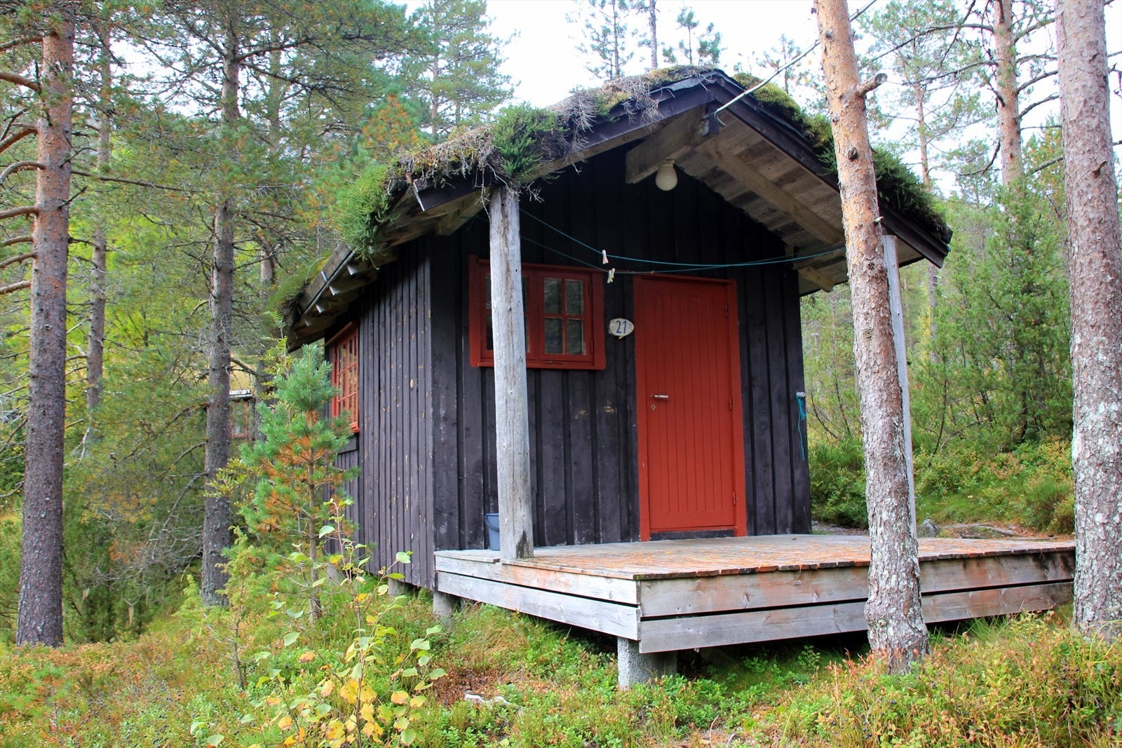 Hovhyttegrend Hytte 21 Galleribilde