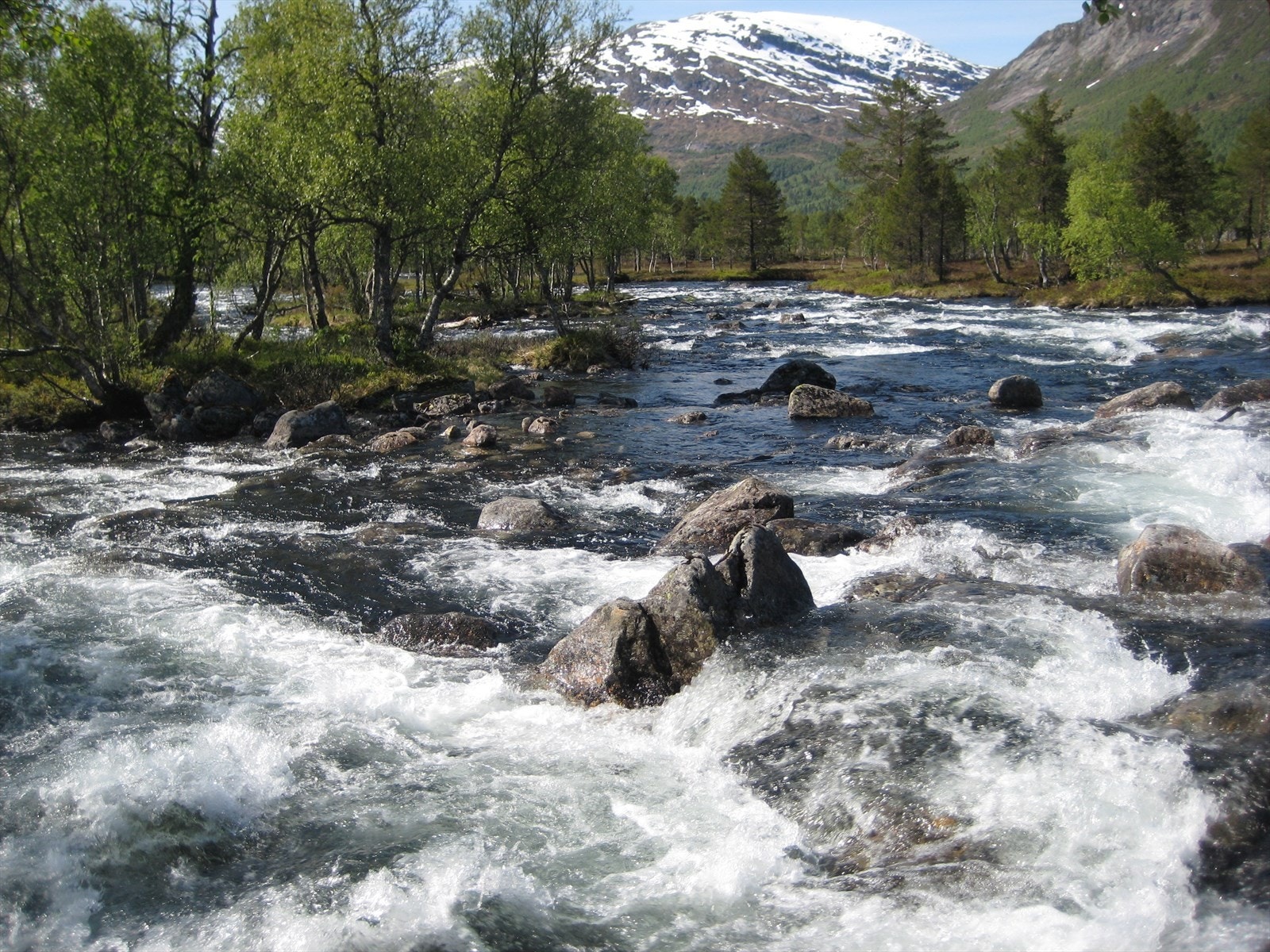 Nedafor Longestølen Galleribilde