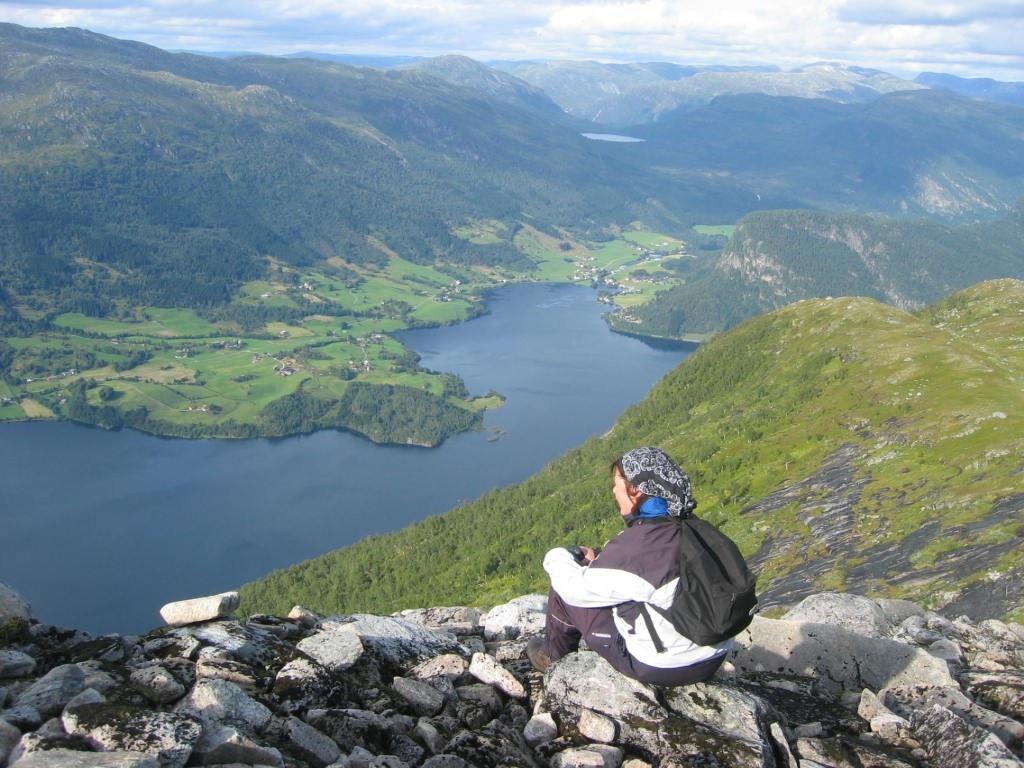 Holsnipa mot Viksdalen Galleribilde