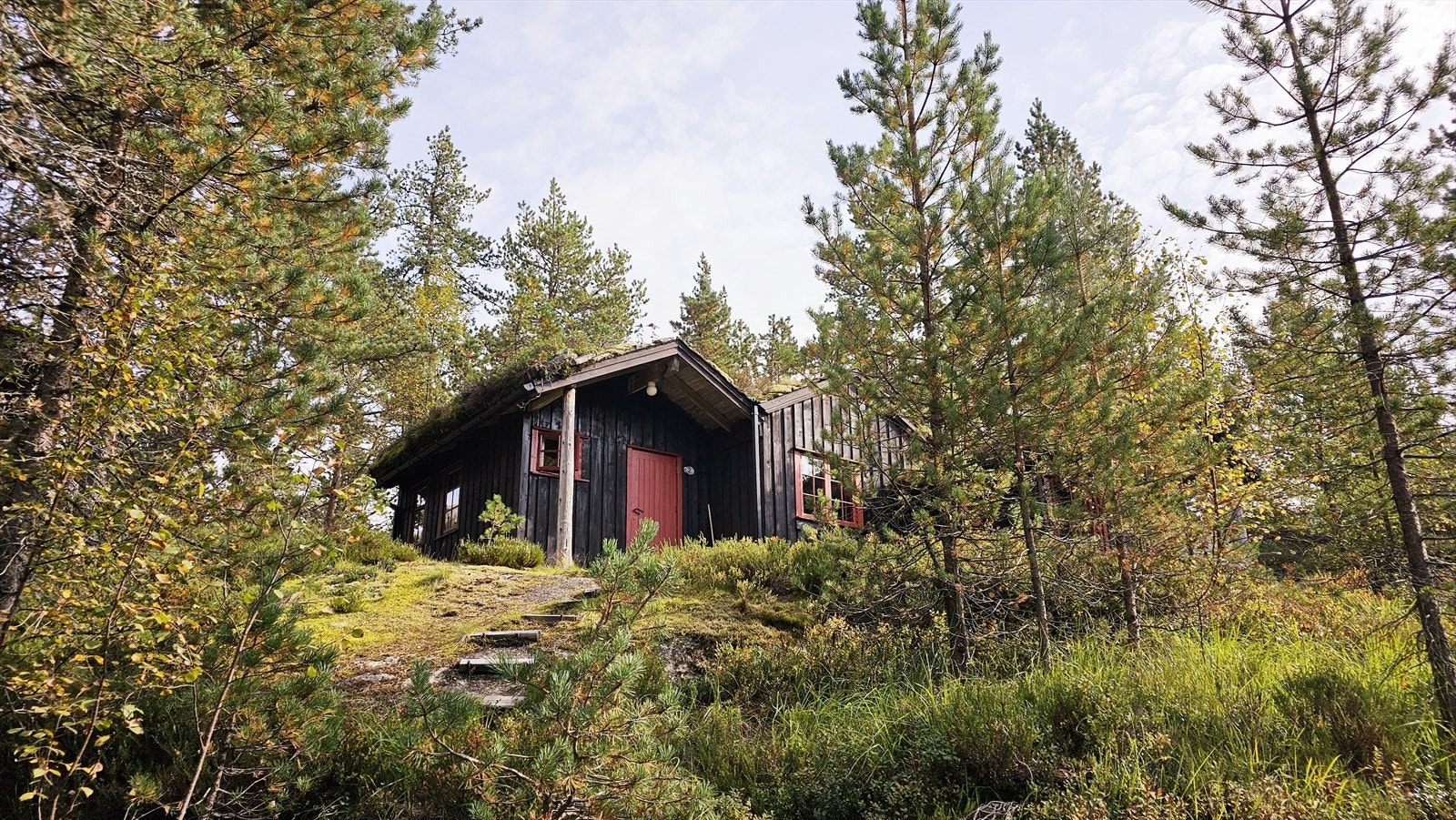 Hovhyttegrend hytte 2 Galleribilde