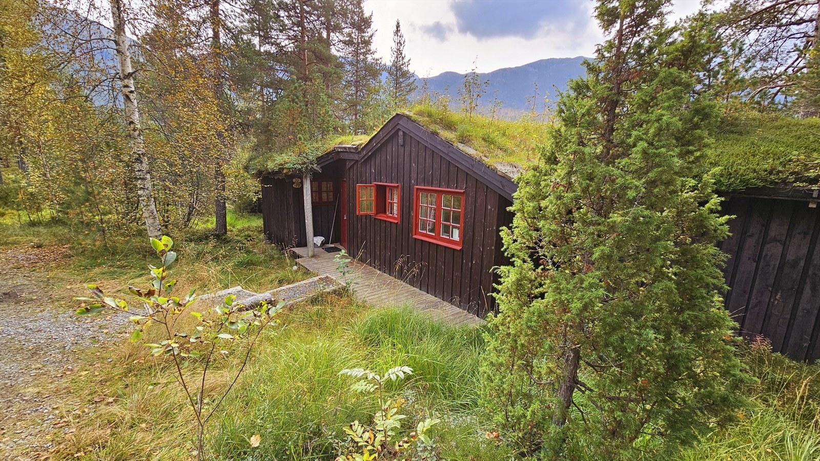 Hovhyttegrend Hytte 19 Galleribilde