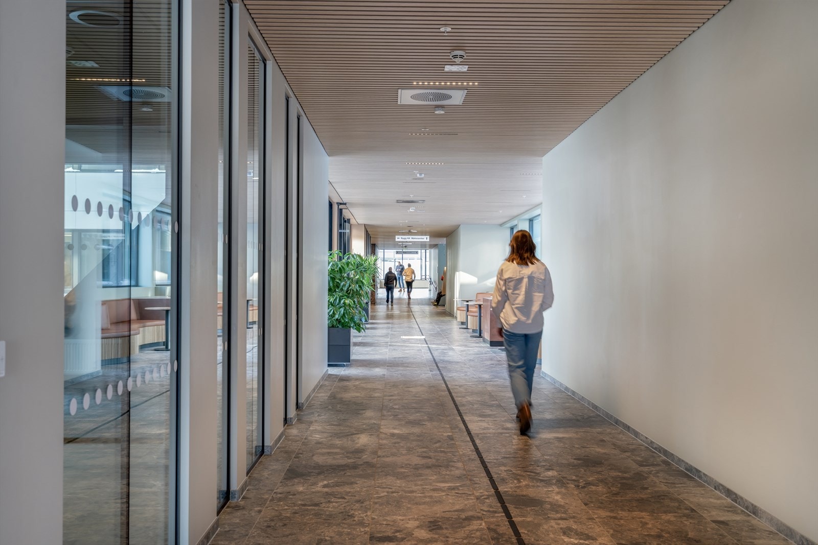 KBJ06405.jpg Galleribilde