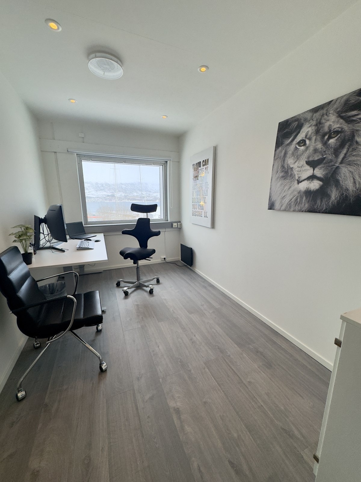 Cellekontor Galleribilde