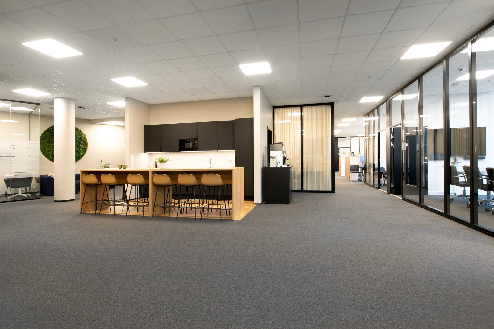 Leiearealet Galleribilde