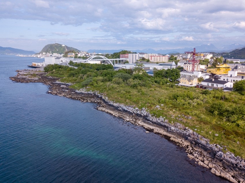 Bilde 3. Galleribilde