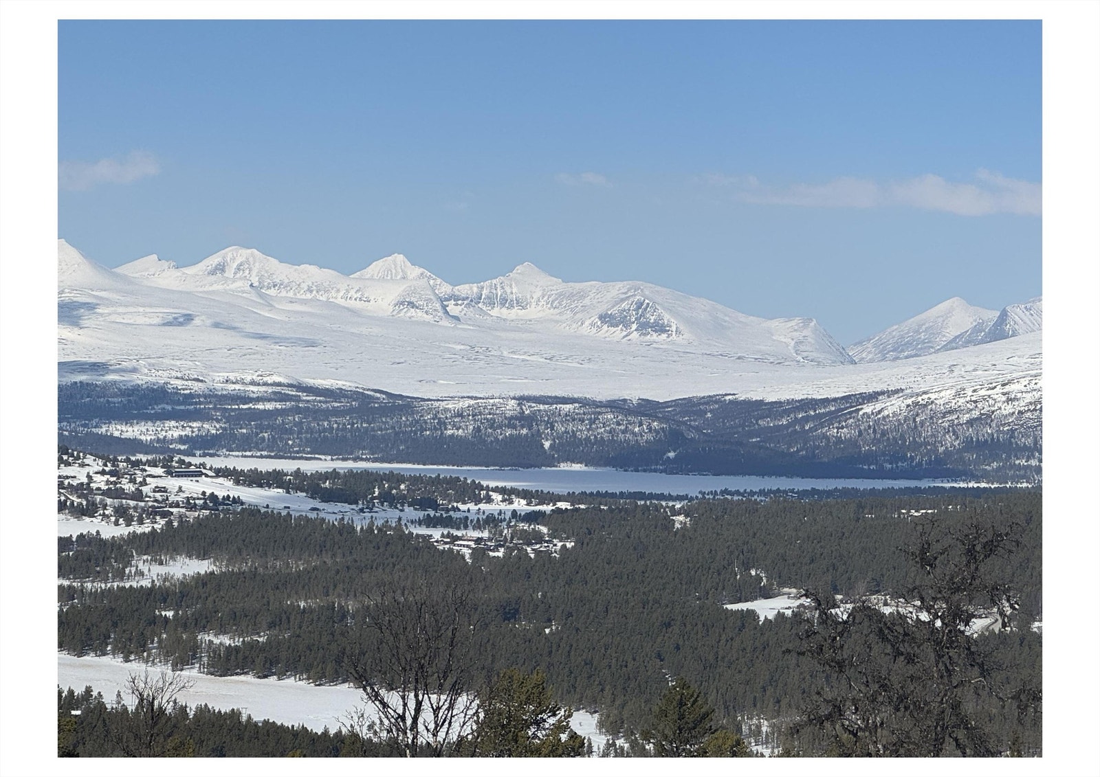 Selgers utsiktsbilde fra tomten Galleribilde