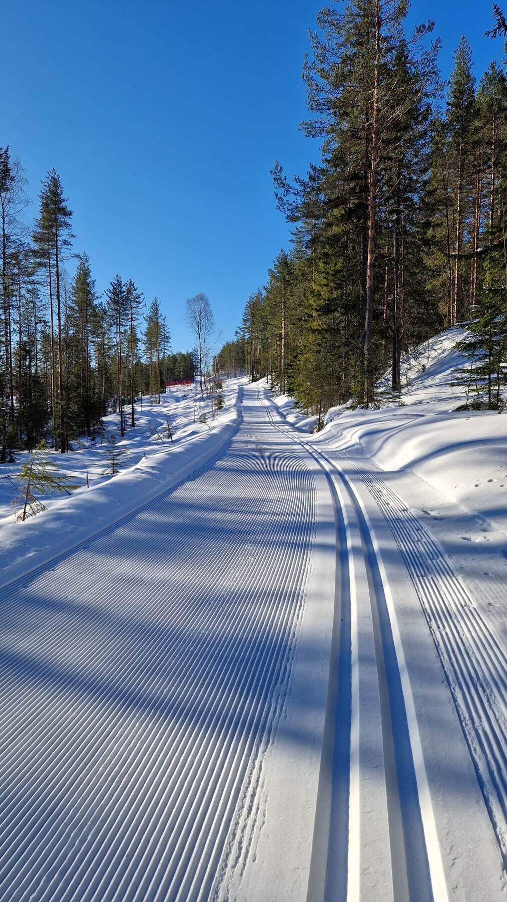 Kort vei til fantastiske skiløyper. Galleribilde