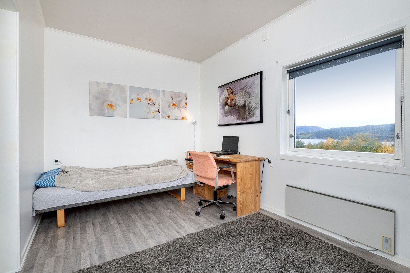 Soverom Galleribilde