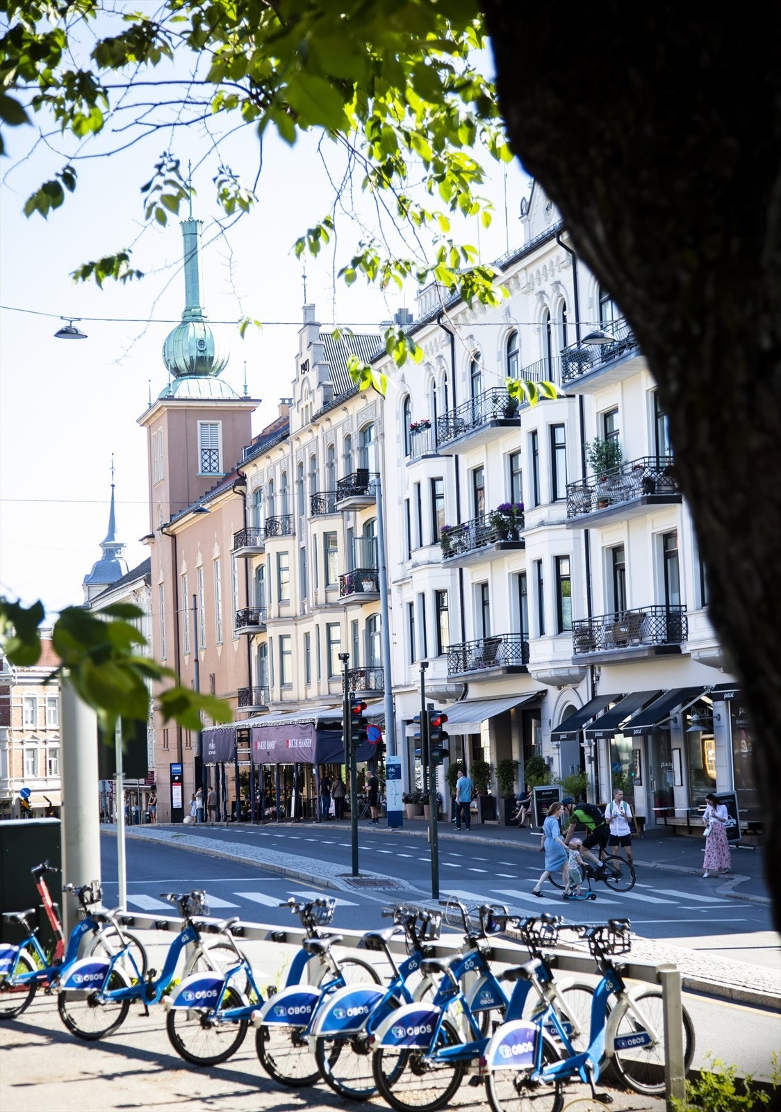 Områdebilde. Galleribilde