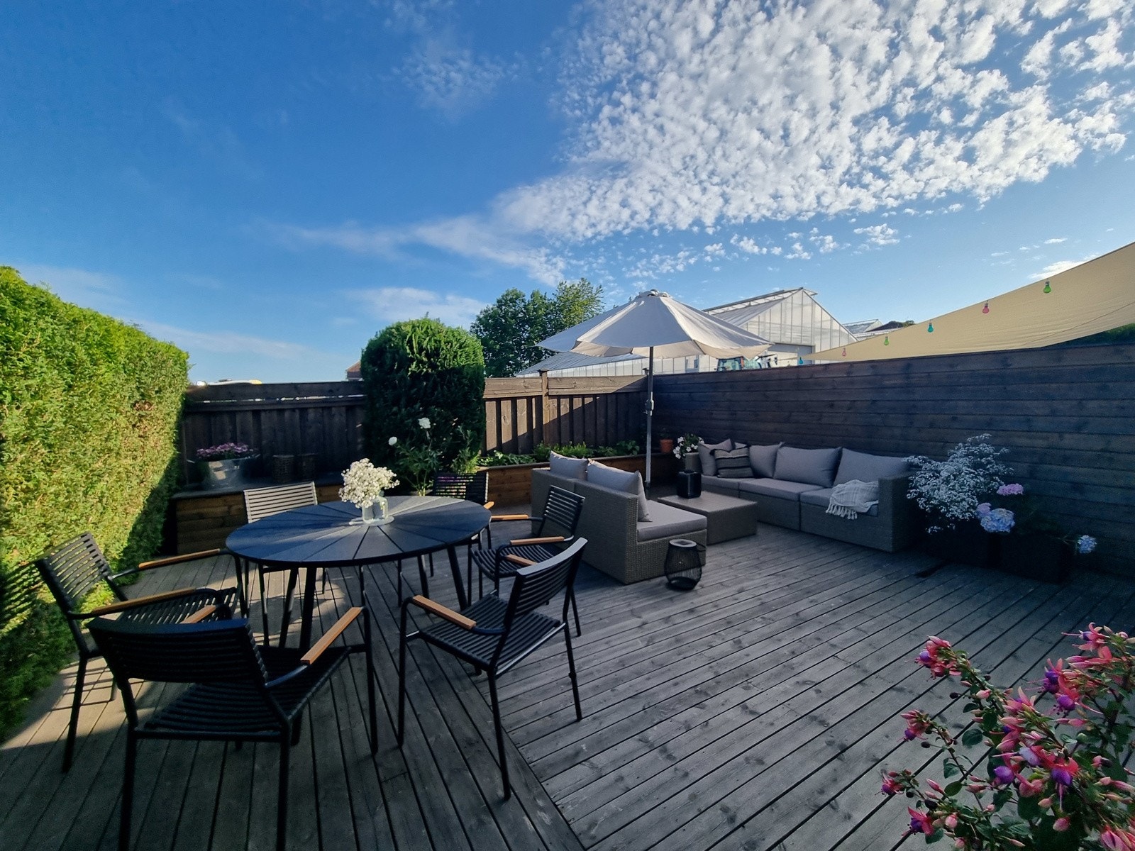 Selgers private bilder. Galleribilde