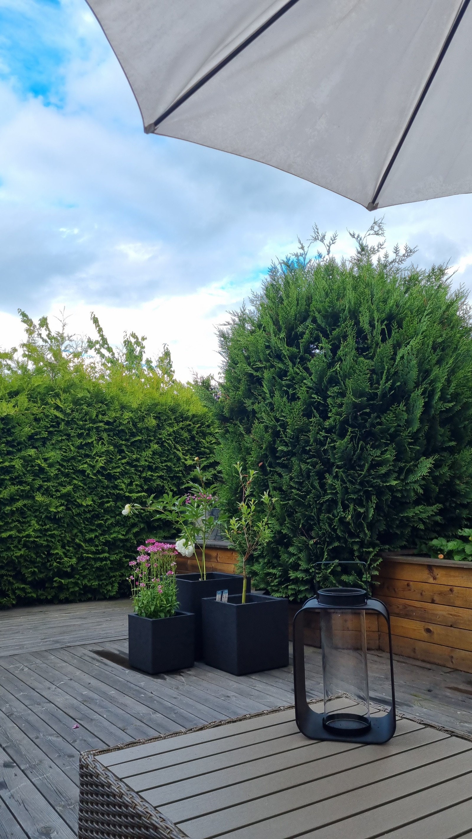 Selgers private bilder. Galleribilde