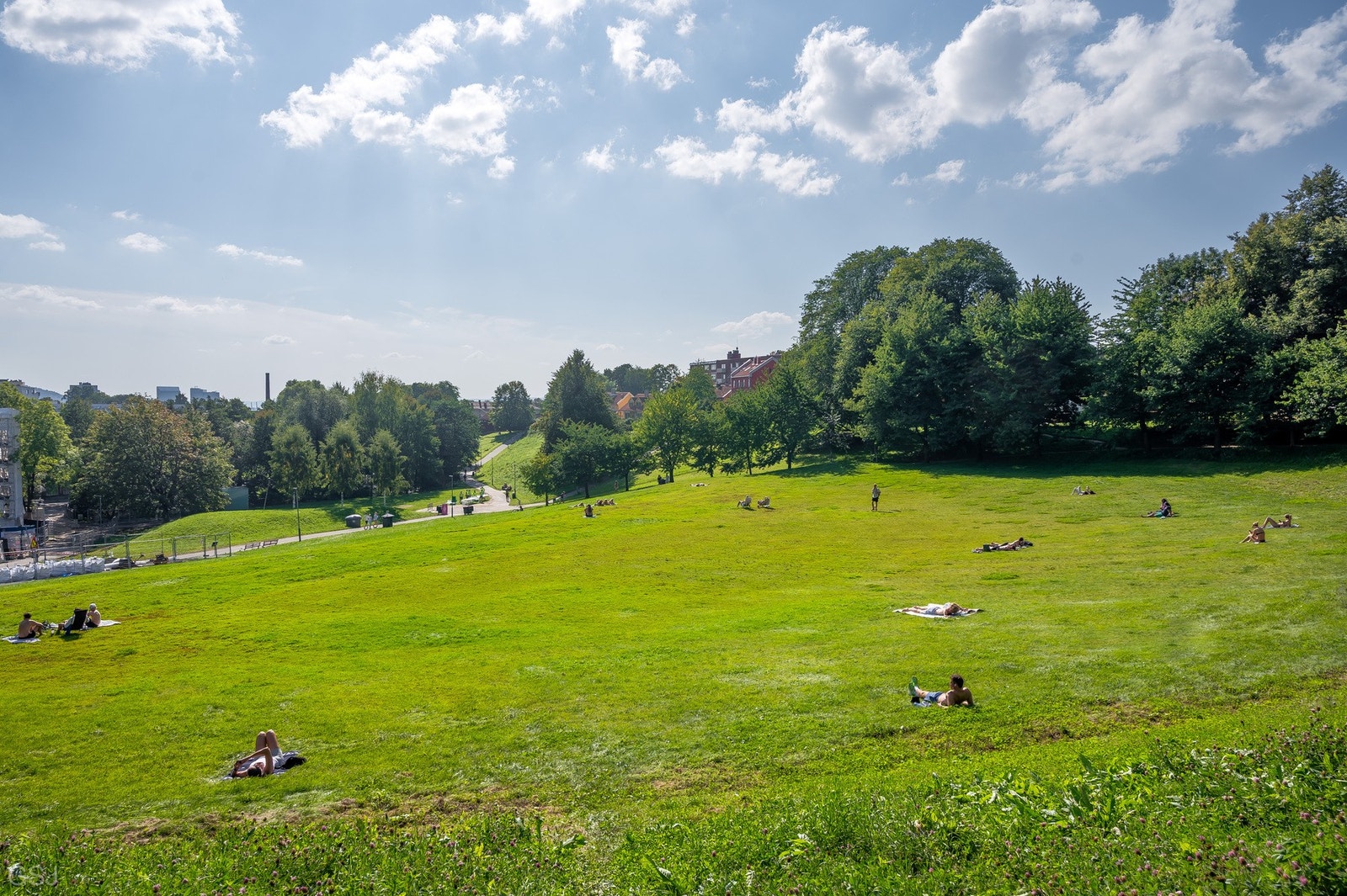 Populære Myraløkkaparken har en lang historie som friområde. De lange åpne gresslettene gir gode muligheter for hyggelige aktiviteter på vinter-og sommerstid. Galleribilde