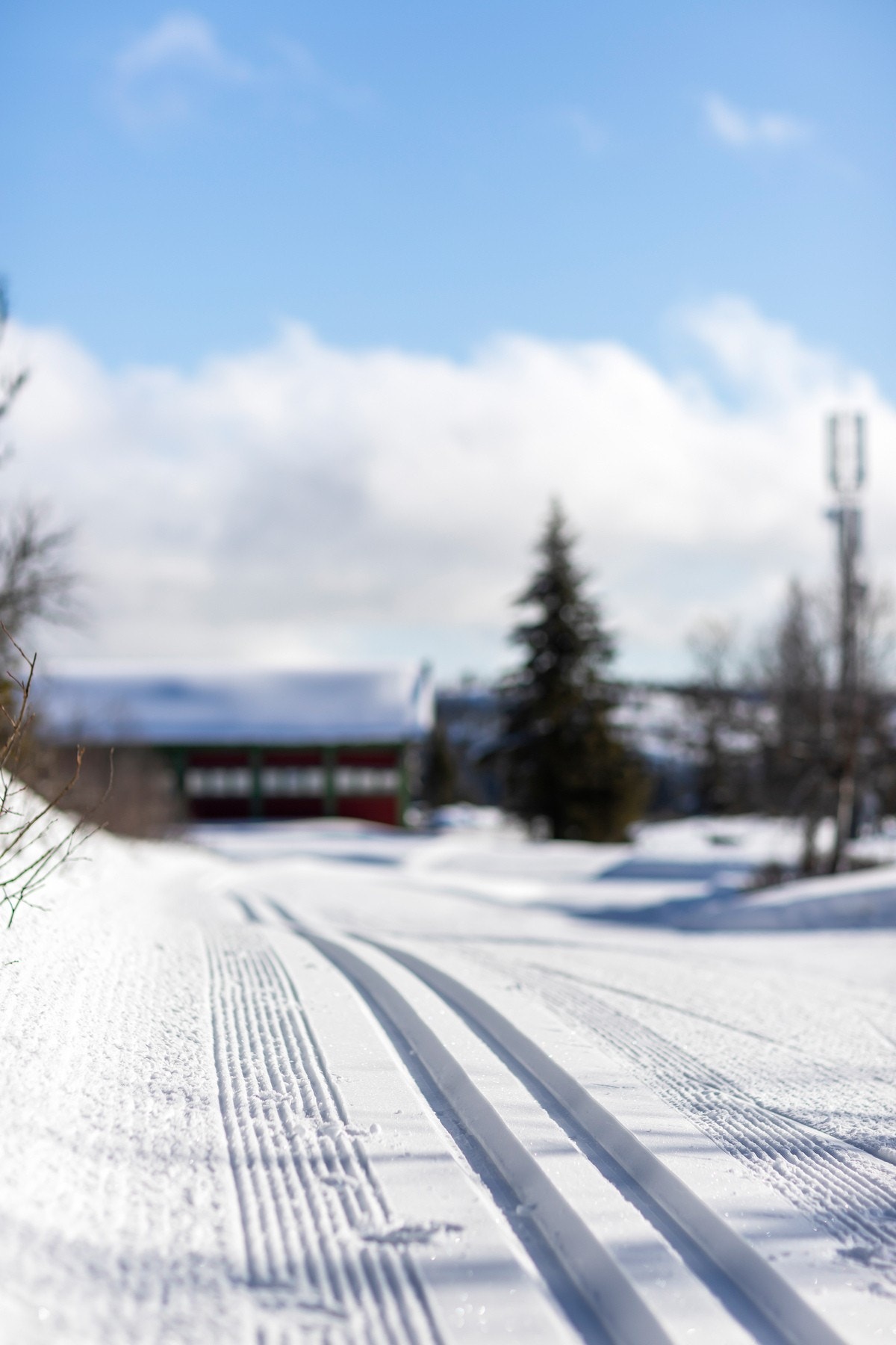 Skiløypene går like i nærhet og tar deg milevis avgårde Galleribilde