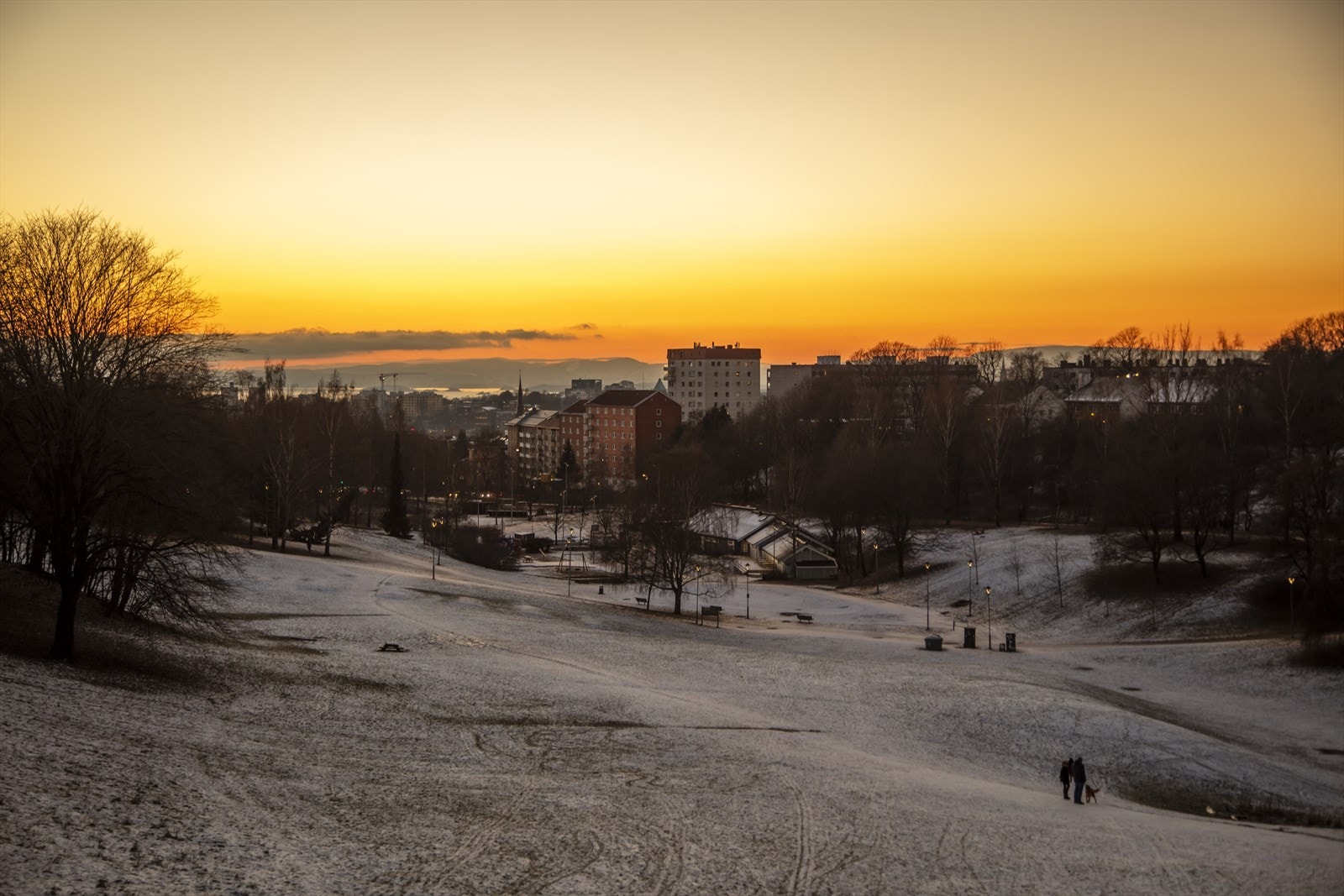 Flere rekreasjonsområder som for eksempel Torshovdalen, mens Torshovparken, Sofienbergparken og Botanisk Hage også ligger kun en liten gåtur unna. Galleribilde