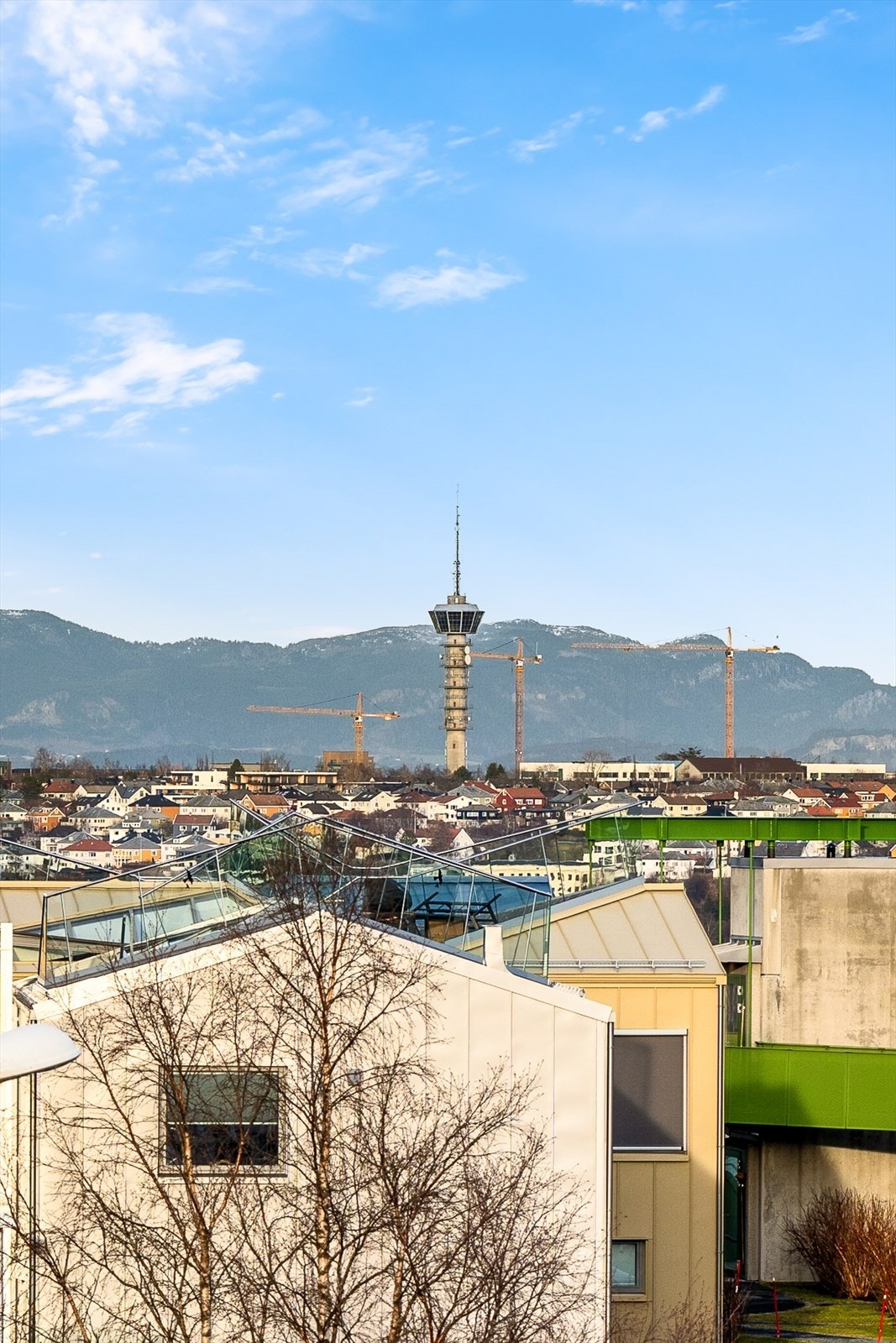 Vil også nyte godt av utsikten mot Tyholttårnet. Galleribilde