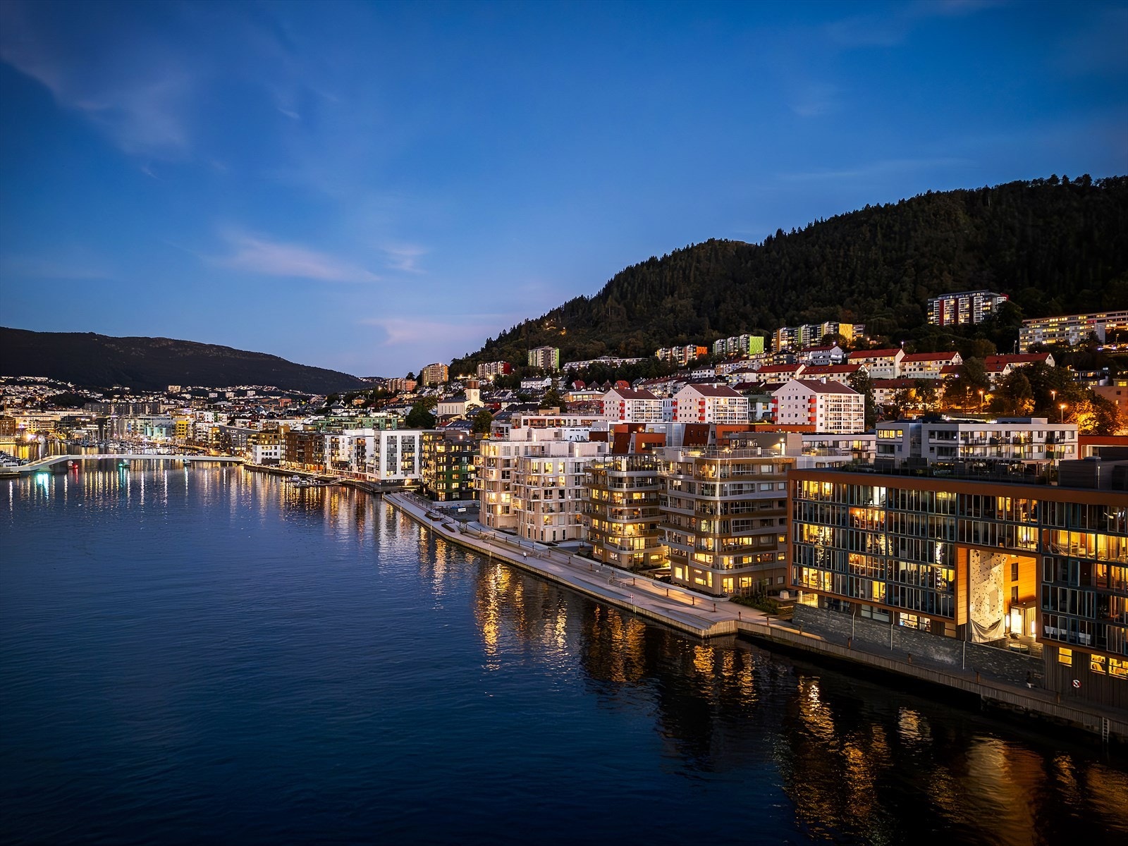 Flott beliggenhet i Damsgårdssundet Galleribilde