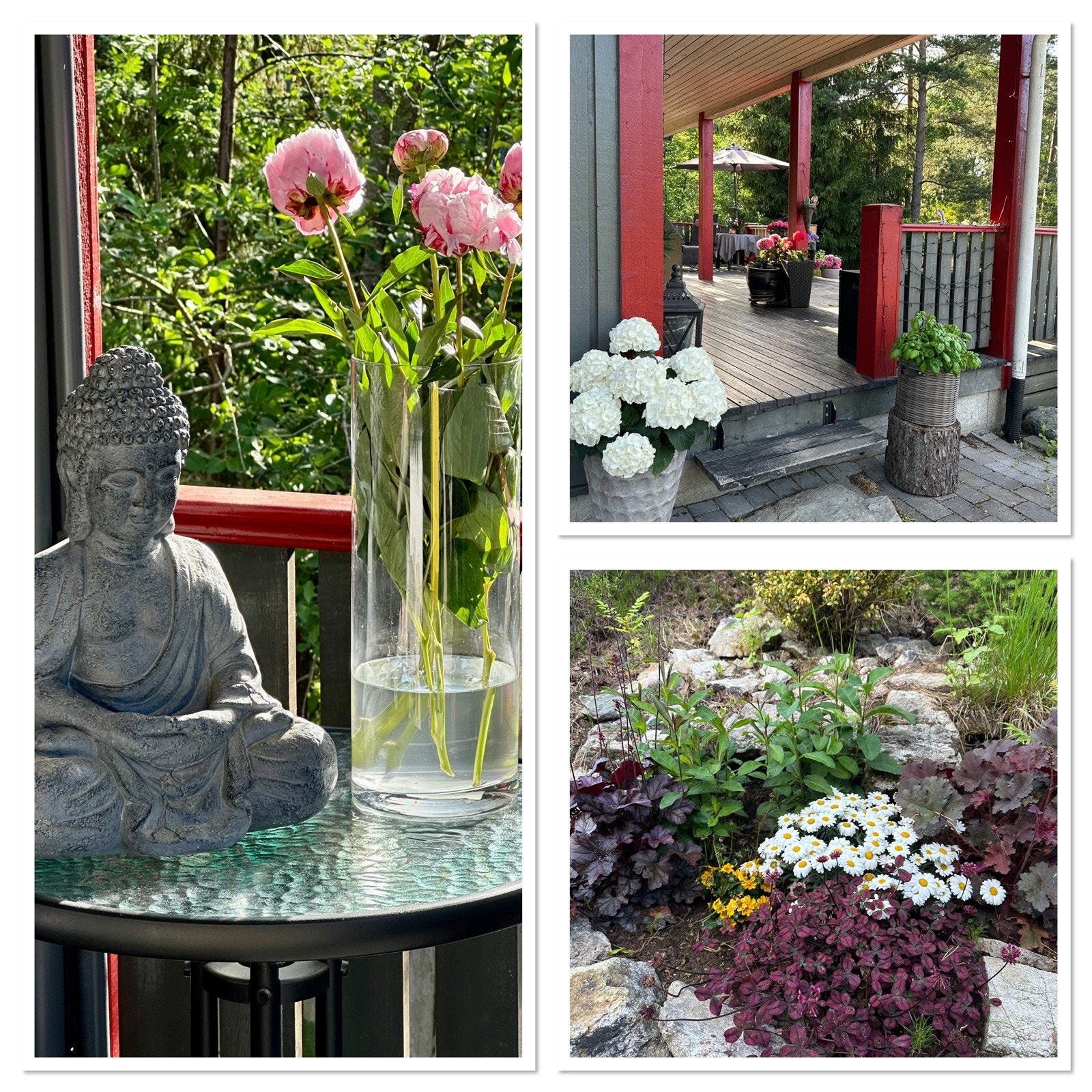 Grønt og frodig sommerstid. Galleribilde