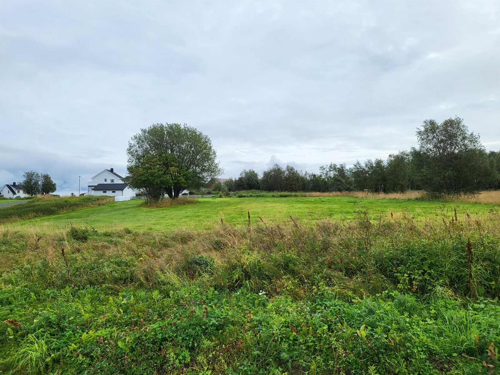 Snitt Eiendomstomt. Galleribilde